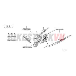 F-31-1_TEM/ MÁC XE